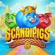Scandipigs
